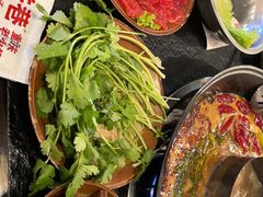 -渝井巷重庆老火锅(沈阳吉祥店)