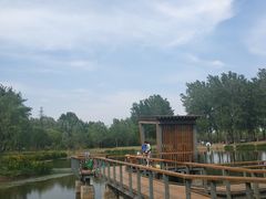 -东郊湿地公园