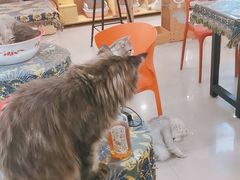 -平行世界·猫咖(首经贸店)