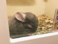 -龙猫仔乐园(惠福东路店)