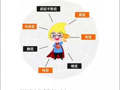 -金色雨林感统训练·专注力·语言认知·心理沙盘(天通苑校区)