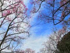 -广州市白云山风景名胜区