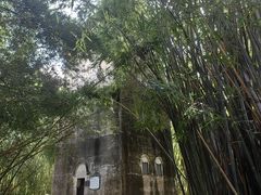 -开平碉楼文化旅游区马降龙景区
