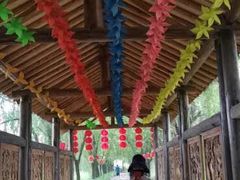 -长兴太湖图影湿地文化园