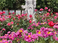 -丰台花园