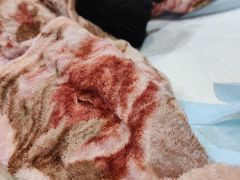-艾贝尔宠物医院·24H转诊中心·肿瘤猫专科(江宁双龙店)