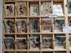 -猫的天空之城概念书店(苏州平江店)