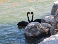 -天津东丽湖风景区