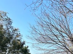 -韶山毛泽东同志故居