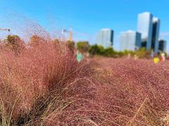 -映月湖中央公园