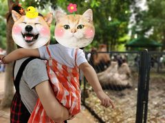 -长白岛森林公园