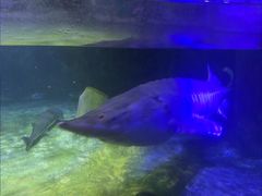 -左海海底世界
