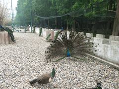 -南京金牛湖风景区