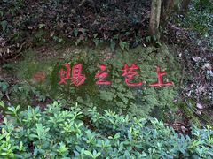 -十八棵（老龙井）御茶园(老龙井店)