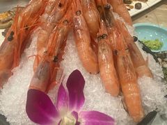 -上渔铁板烧(熙悦汇店)