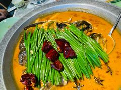 -北平盛世·新京菜·北京烤鸭(劲松·双井店)