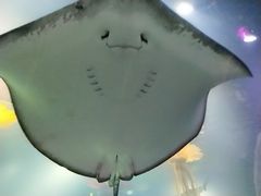 -沈阳海洋探索中心