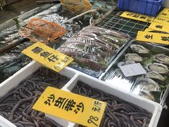 水产区-寻味顺德·南记酒家·传统顺德菜·鱼生(广源路店)