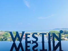 -舟山朱家尖威斯汀酒店·知味标帜自助餐厅