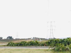 -紫颐香薰山谷景区