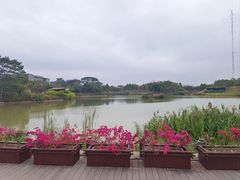 -福田红树林生态公园