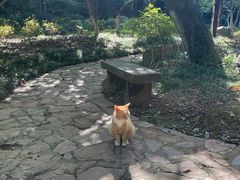 -南山风景名胜区