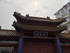 -桃花堤公园