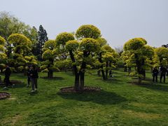 -西海子公园