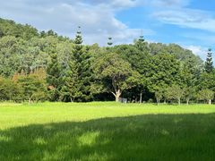 -福建鲤鱼洲酒店