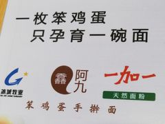 -阿九笨鸡蛋手擀面(总店)