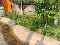 -草根堂农场