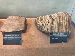 -甘肃地质博物馆