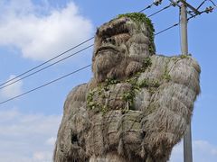 -西双版纳傣族园