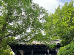 -无锡蠡湖国家湿地公园-蠡园