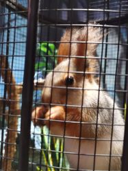 -酷嗒动物文化乐园(cutezoo西溪乐天城店)