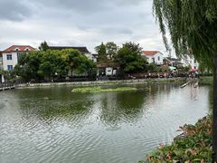 -金山嘴渔村
