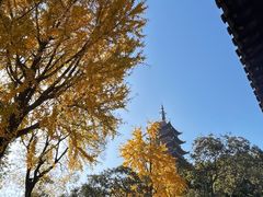 -常熟方塔园