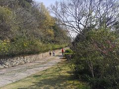-青龙山公园