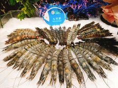 -南美豹国际自助百汇(万象城店)