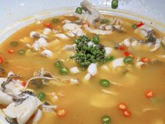 -青花椒花椒鱼(合生汇店)