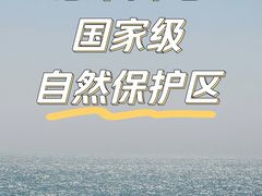 -广东惠东海龟国家级自然保护区