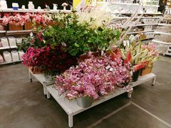 -宜家家居(哈尔滨商场店)