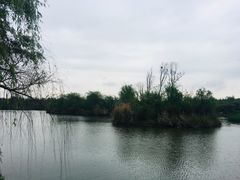 -白鹭湾湿地公园