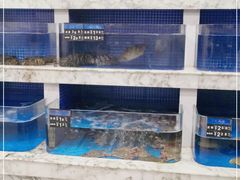 水产区-香山湖渔家大院