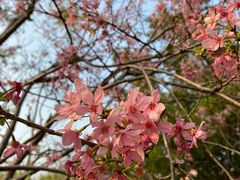 -广东工业大学(大学城校区)
