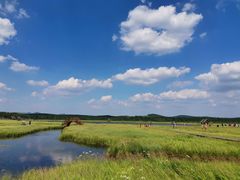 -塞罕坝国家级自然保护区