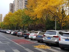 -丰台花园