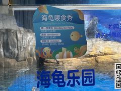 -欢乐海岸海洋奇梦馆