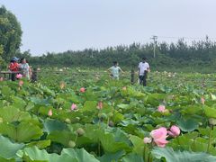 -渔岛海洋度假区