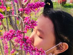 -济南国际园博园